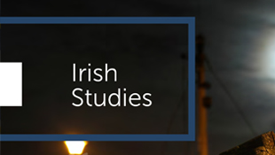 Irish Studies Handbook