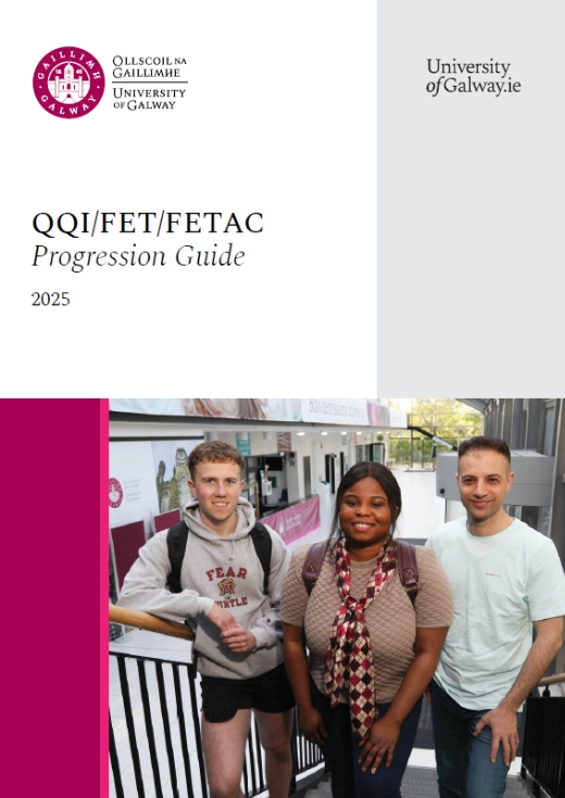 FETAC Progression Guide