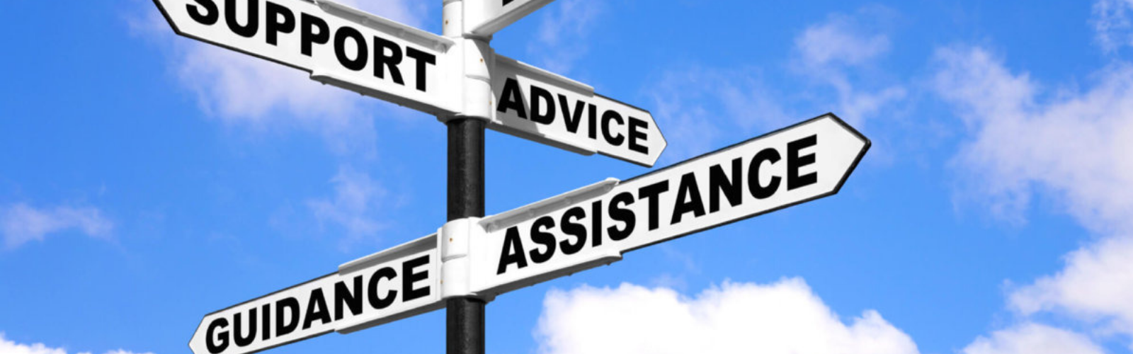 Law Student Advisor
