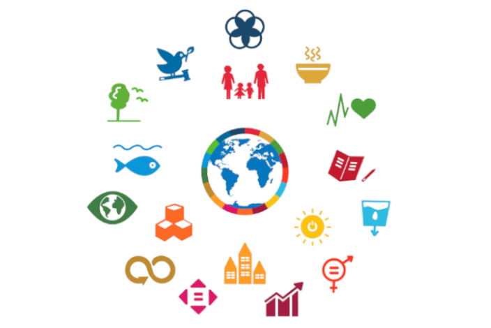 The Sustainable Development Goals