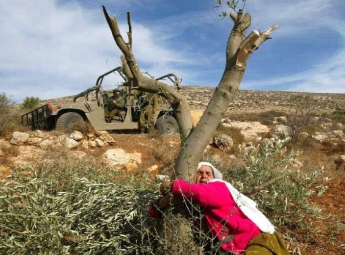 Palestine: International Law, Justice and Accountability