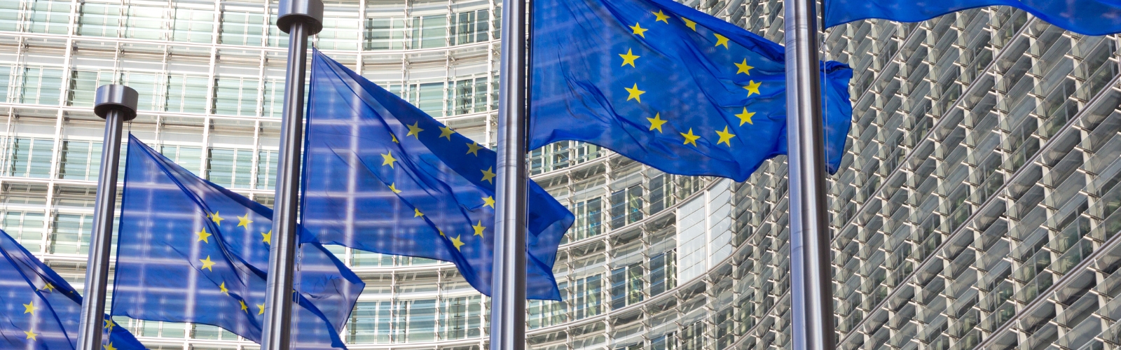Image of EU flags