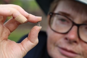 Dr Michelle Comber