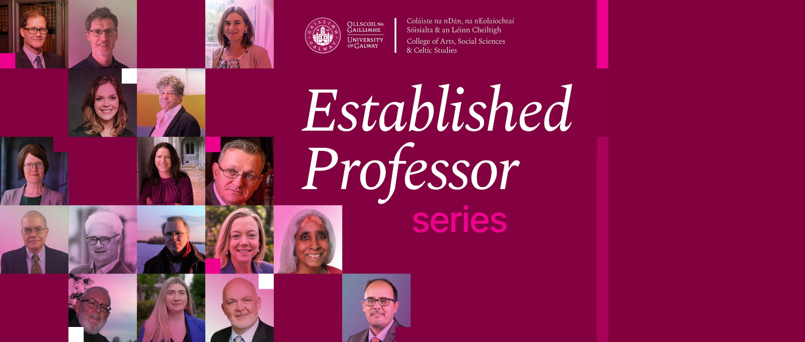 A University branded graphic featuring small images of 17 CASSCS Established Professors