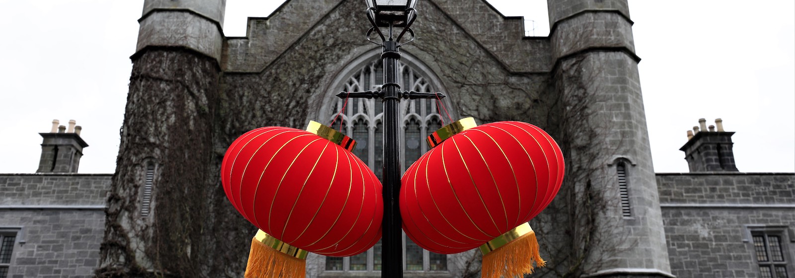 Welcome to the Confucius Institute of Chinese and Regenerative Medicine at University of Galway
