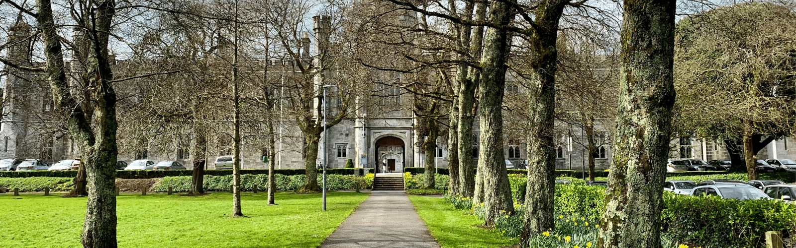 Courses at University of Galway