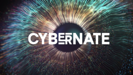 Cybernate 