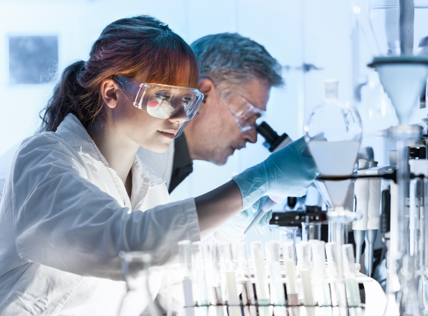 PhD Researchers 