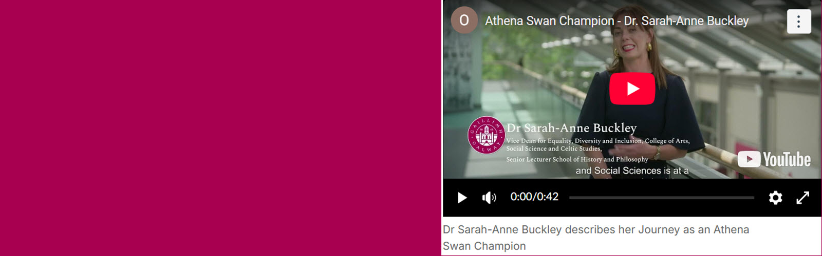 Athena Swan Champion -Dr. Sarah Anne Buckley