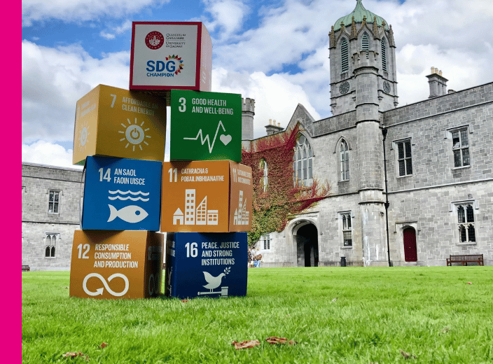 Sustainability