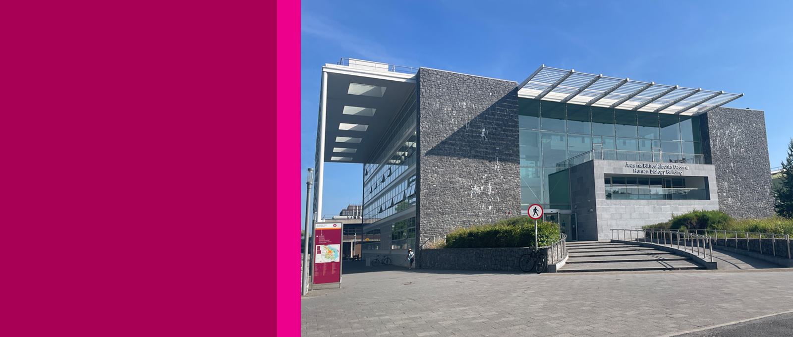 Adult Learning Information Evening