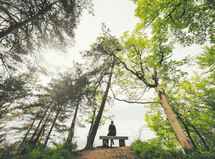 Mindfulness and Meditation