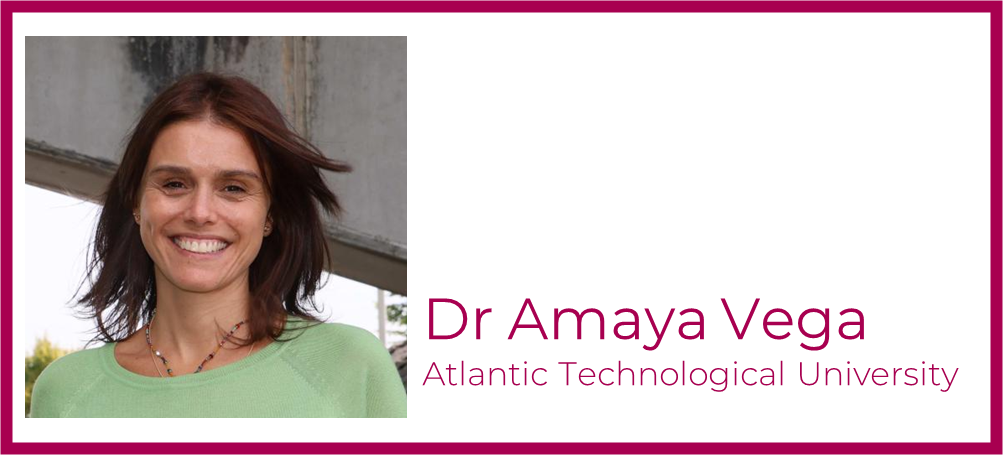  Research team leader