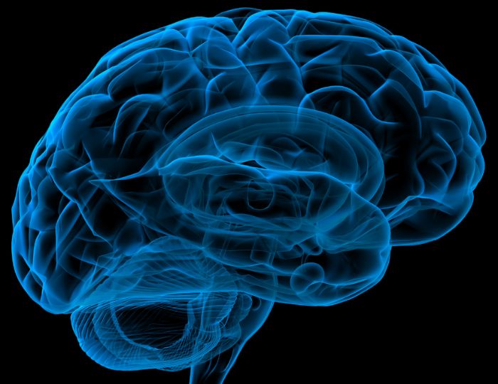 Cerebro Machines Train Doctoral Network (CMT-DN)