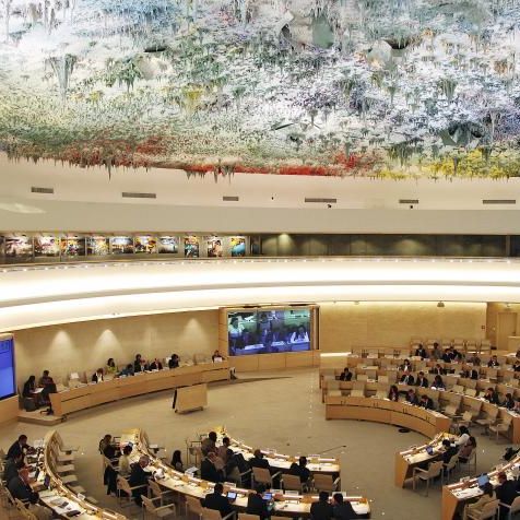 Human Rights Council