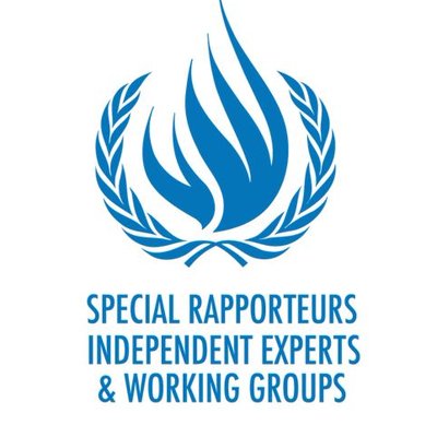 Special Rapporteur