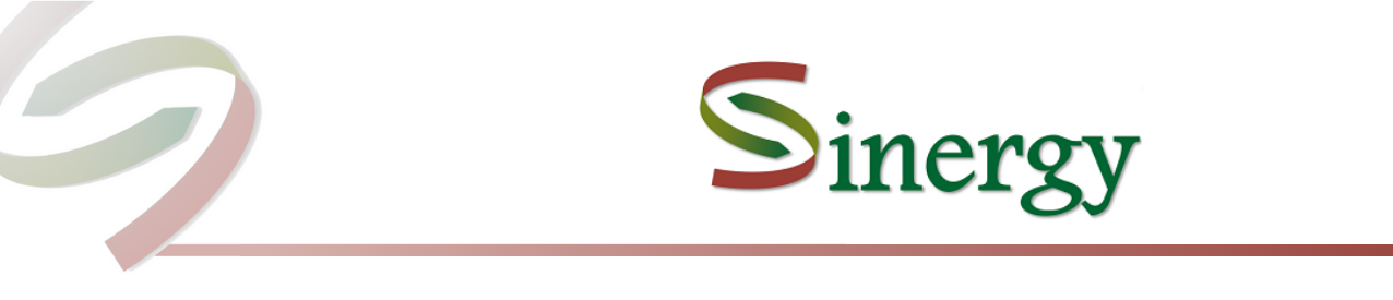 Visual identificatin of the project