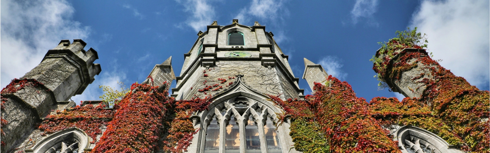 University of Galway MBA 