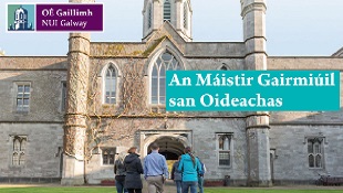 Oideachas (Máistir Gairmiúil san [MGO])