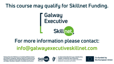 Galway Executive Skillnet Logo 2