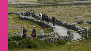 Irish Studies Handbook