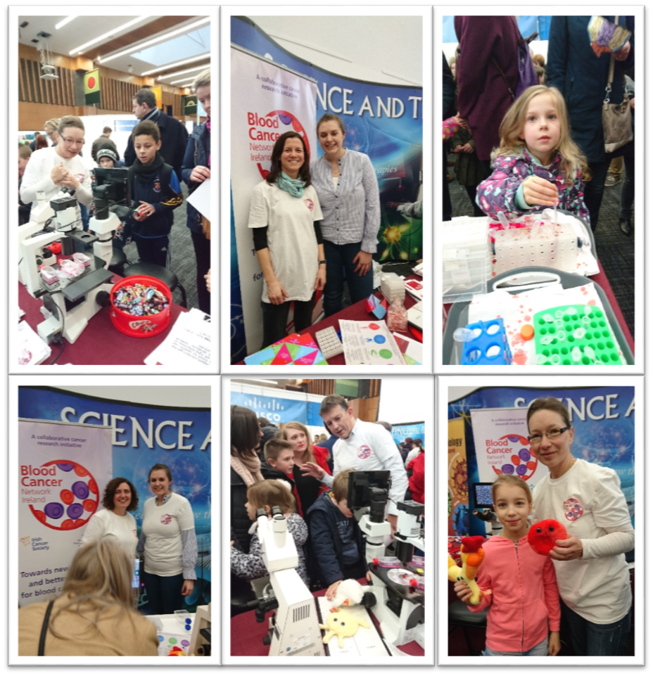 Science festival 2017