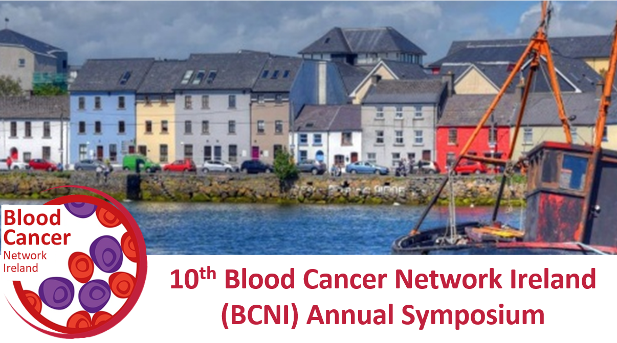 BCNI Symposium Galway