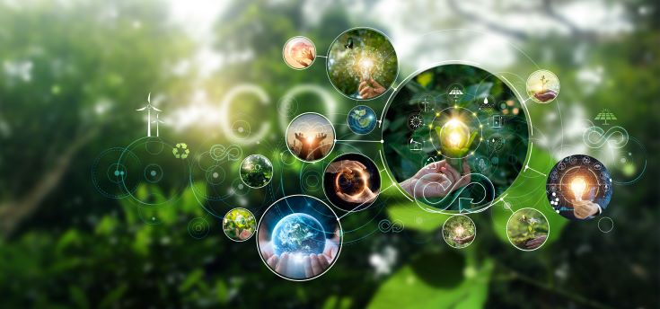 hand holding sustainable goals