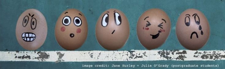 Eggs with emotions drawn on