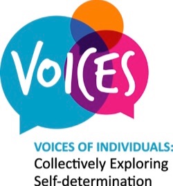 Voices logo