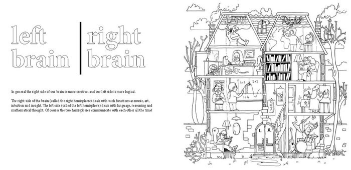 Journey Through The Brain