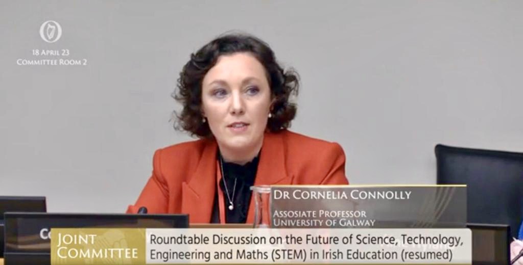 Cornelia at Oireachtas Committee 2