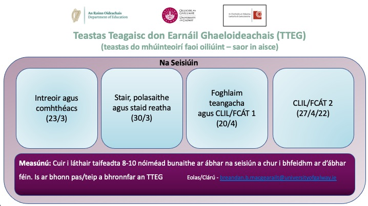 Teastas Teagaisc don Earnáil Ghaeloideachais (TTEG)