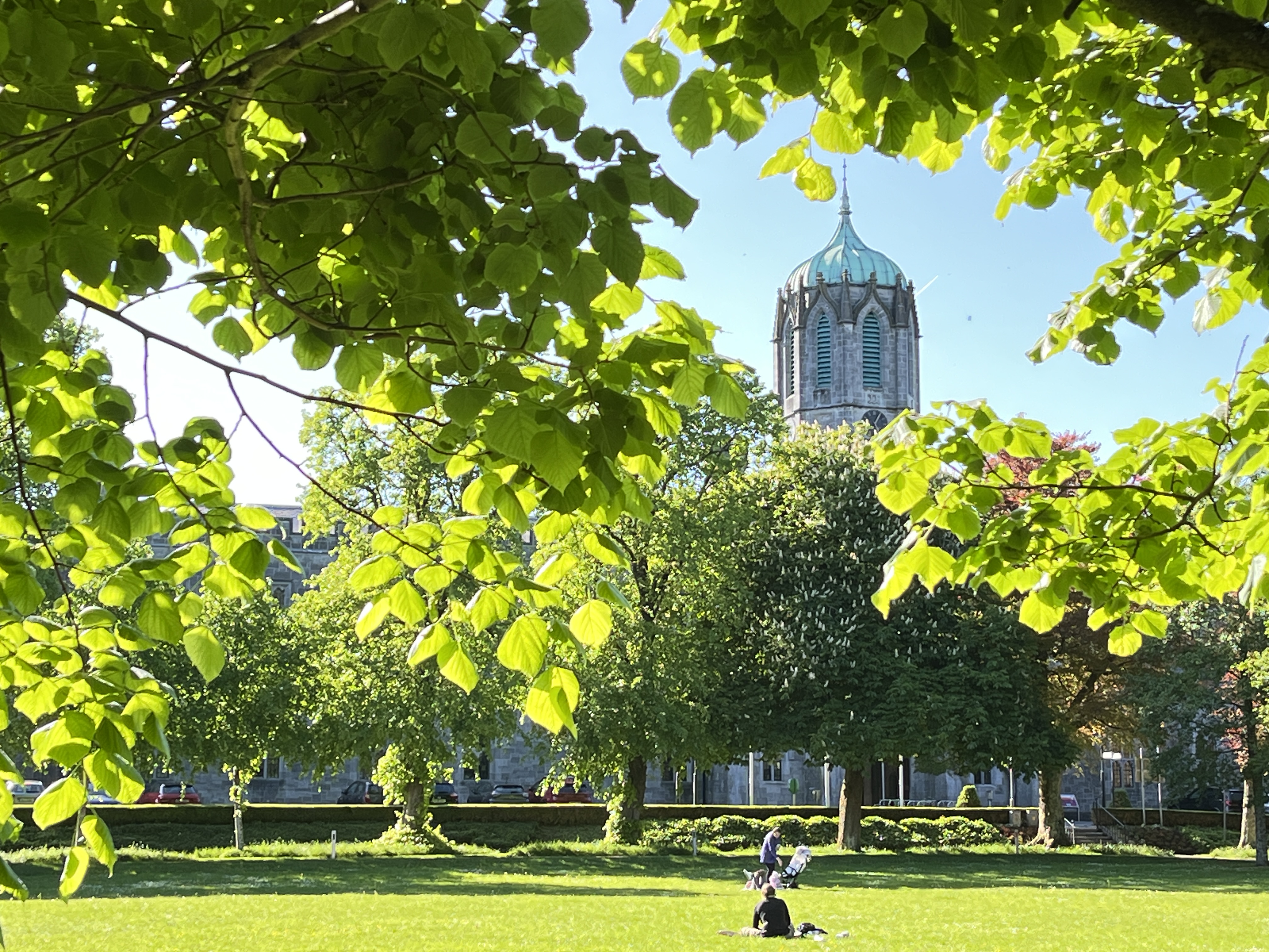 The Quad in Summer_DM Photos