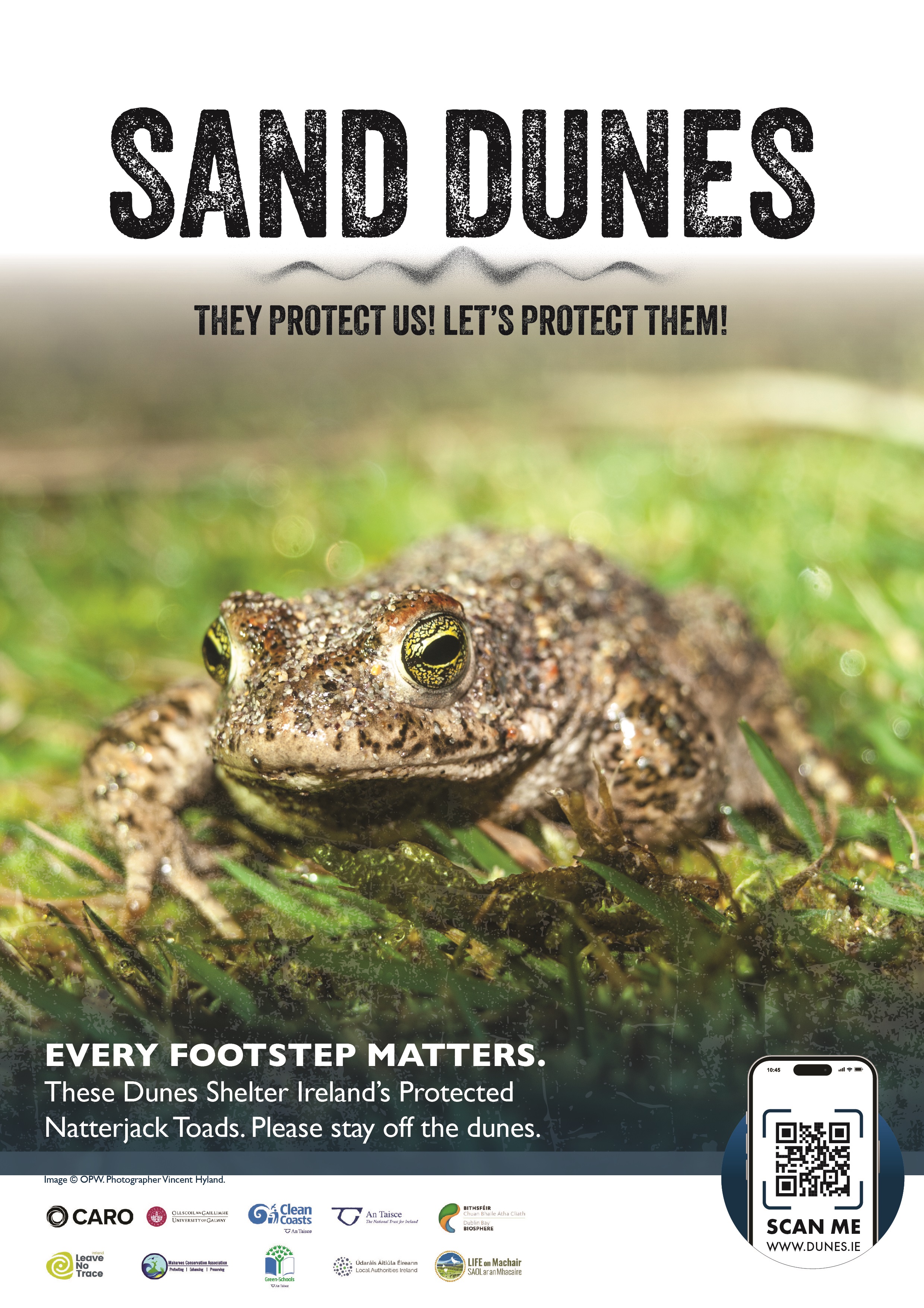 Sand Dune Campaign 2026