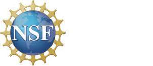 NSF logo