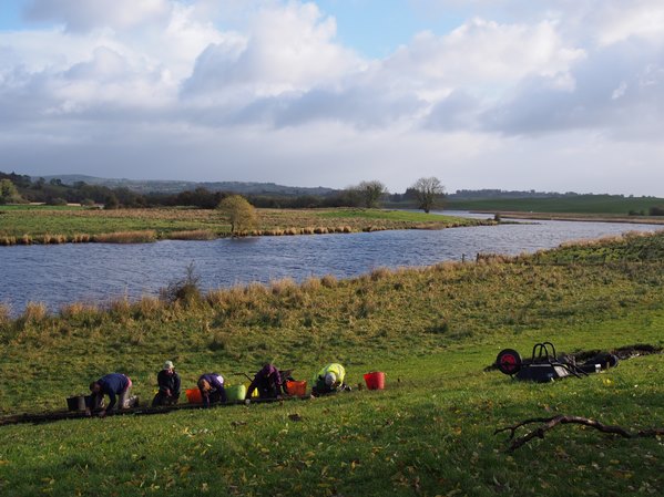 Excavations at Cleenish, Co. Fermanagh, directed by Dr Ros Ó Maoldúin.