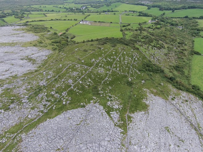 Great Famine Archaeology relict field system