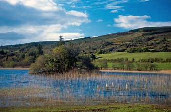 Lough Meelagh crannog