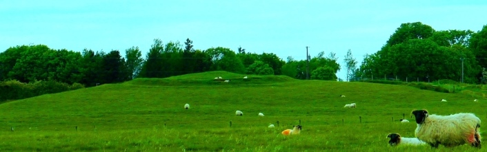 Rathbeg bivallage barrow in the Rathcroghan complex of archaeological monuments, Co. Roscommon