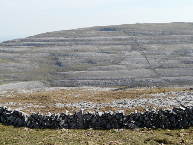 Research Burren landscape through time