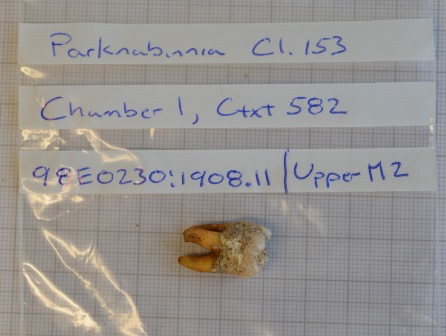 Research_Parknabinnia_isotope_small