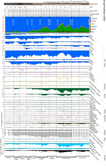 Spencer Inchiquin Pollen Diagram