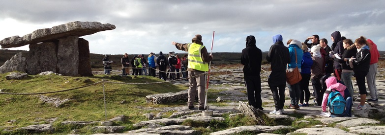 Undergraduate Poulnabrone field-class