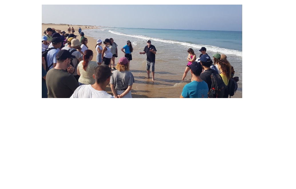 Eco-Tools-Coast: Advanced Skills in Coastal Environment' summer school