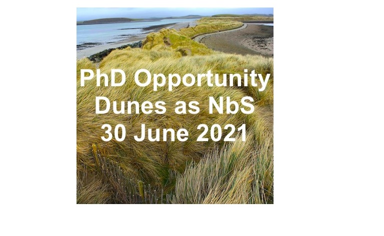 PhD opportunity