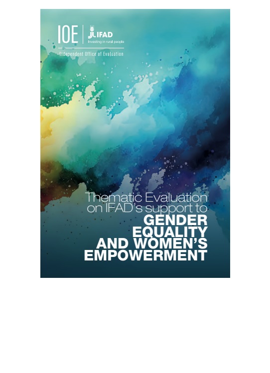 Thematic Evaluation of Gender Equality in International Development