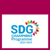 SDG sidebar image