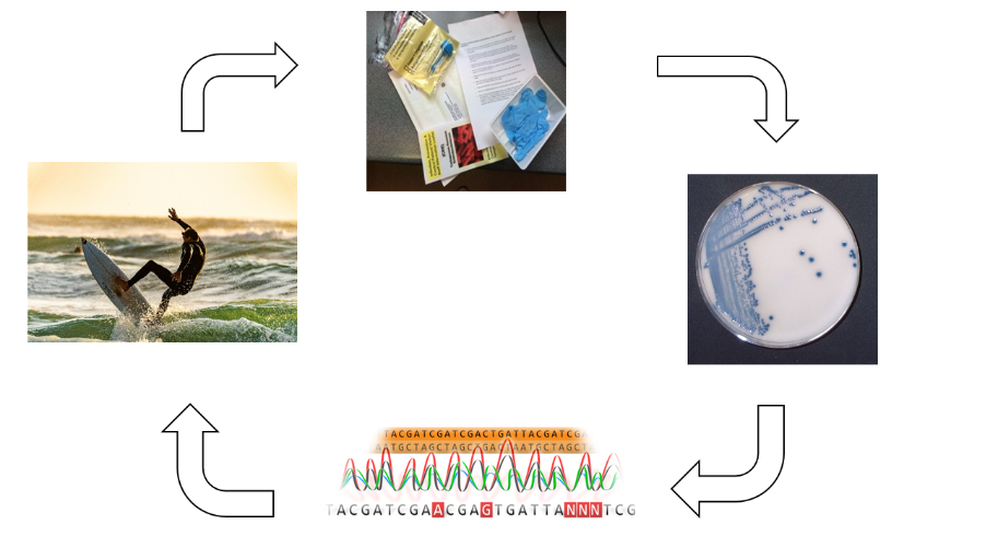 PIER flow diagram 2