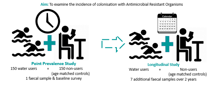 Figure describing the PIER colonisation study (part A)